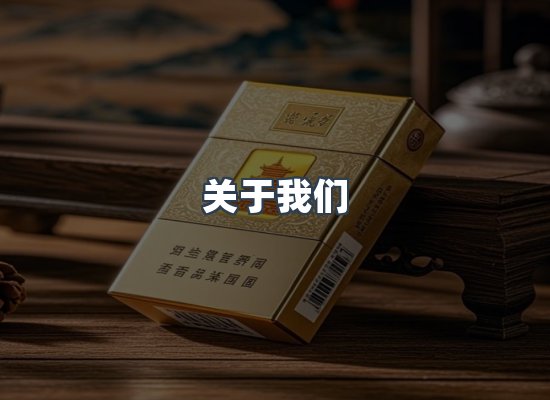 专业团队
